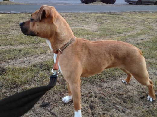 Kika con 10 meses