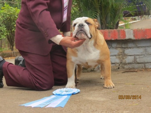 El bello Titillo mostrando su cuarto lugar BIS en la internacional de Nicaragua el día 1-2 de marzo!!