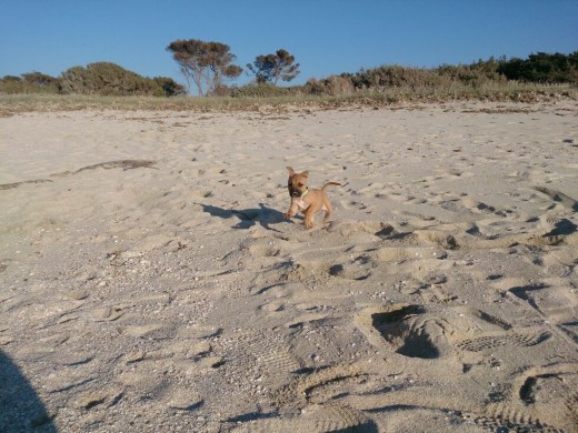 Dia en la playa! 