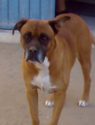 Este es mi bb
Esta foto tiene menos de un año!