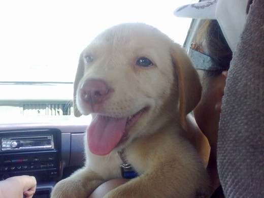 de paseo