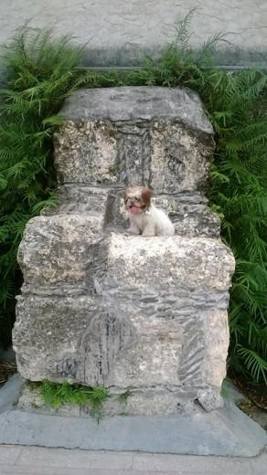 en un parque mochi modelando