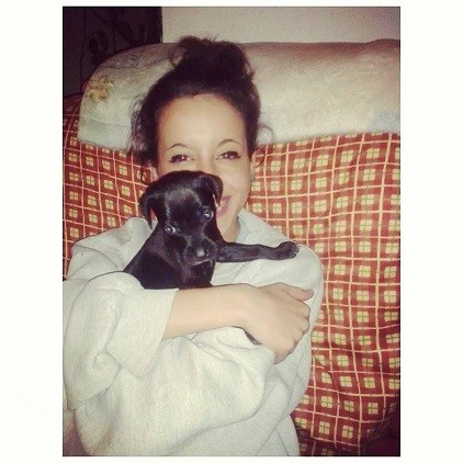 #PitbullxDoberman #PitbullxDoberman