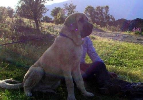 Aqui estamos en mi campo descansando despues de llevar el ganado.