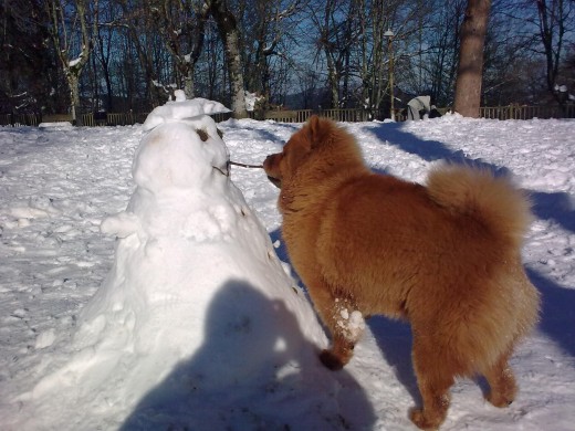 sukka jugando con un muñeco de nieve