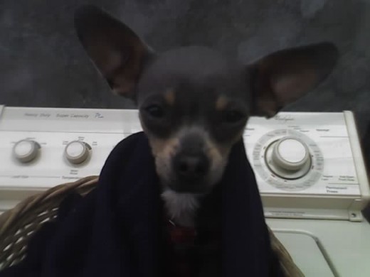 Pues hay pinky lo subi en su cesto arriba de la lavadora, y salio muy lindo
