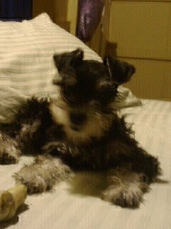 peggy maria peggy maria