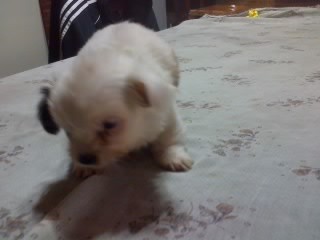 ella es Mina!