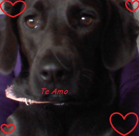 Mi loca divina Mi loca divina