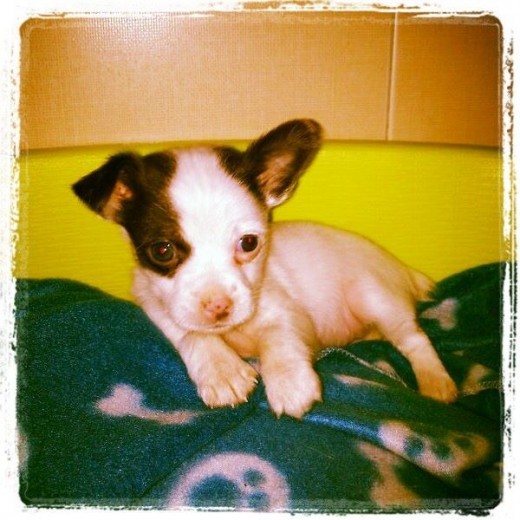 2 meses 2 meses