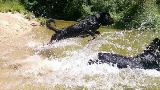 En el río pescando truchas :-D 