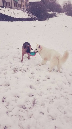 Chuchi y Luna