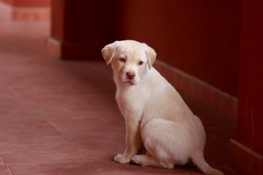 Posando para nuestro amigo