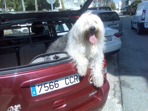 Lo que mas me gusta es viajar en coche