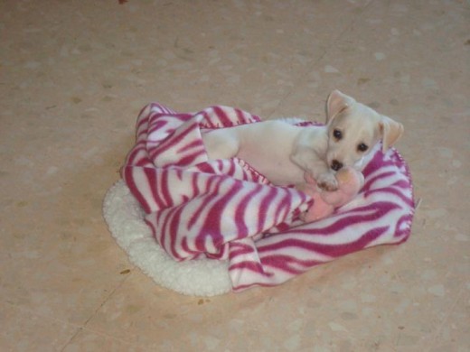 El willy con 3 meses El willy con 3 meses