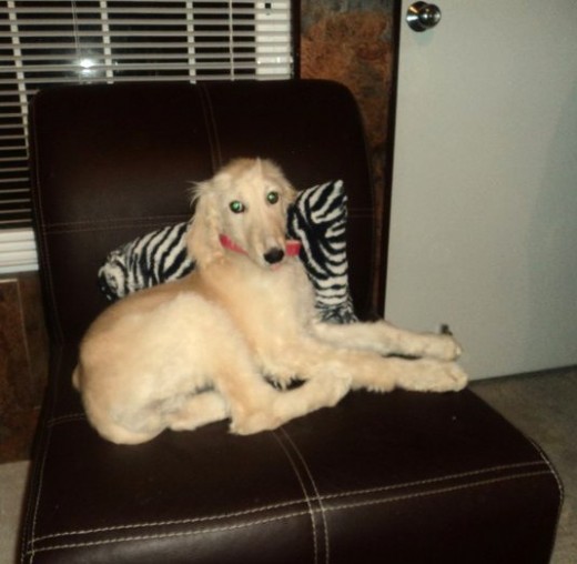 en esta foto de 3 meses en esta foto de 3 meses
