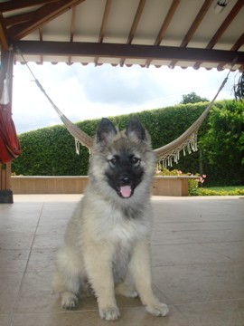 Yo posando despues de mi primer baño a los 3 meses!!!