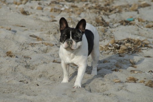 Maya en la playa verano 2008