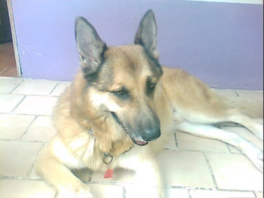  mi BB en paz descances =(