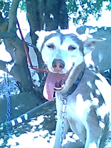 Nuca al sol :P Nuca al sol :P