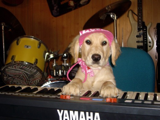 TOWANDA EN CLASES DE MÚSICA