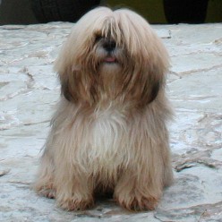 Cuqui esperandome para que la mande a entrar Cuqui esperandome para que la mande a entrar