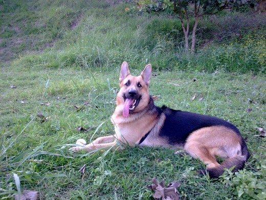 Disfrutando en el parque