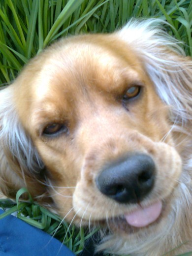 Toby...