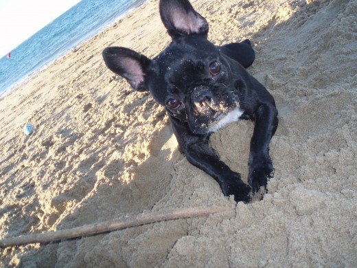 En la playita