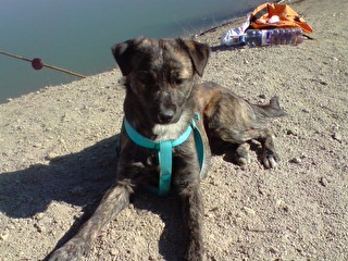 En el pantano pescando y tomando el sol.