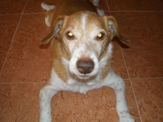 Siempre en mi corazón. Siempre en mi corazón.