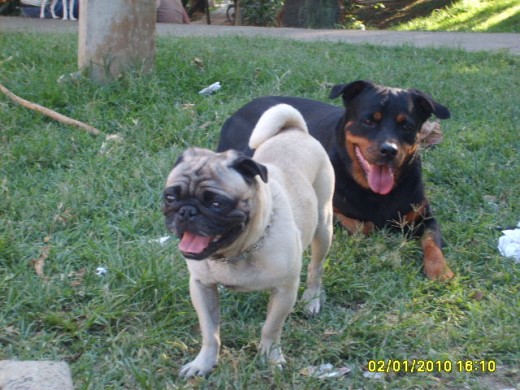 JERONIMO CON SU HERMANITA ANITZHA