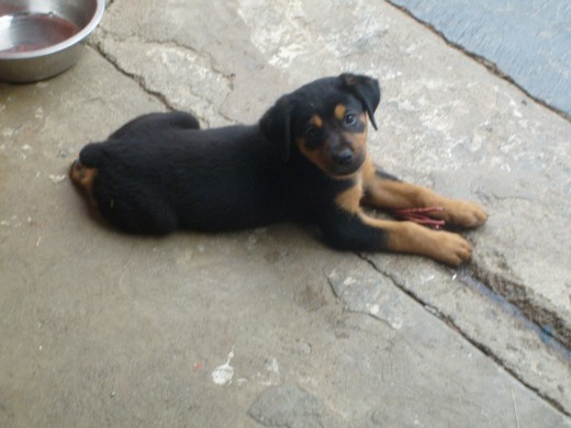 Tenía 2 meses.