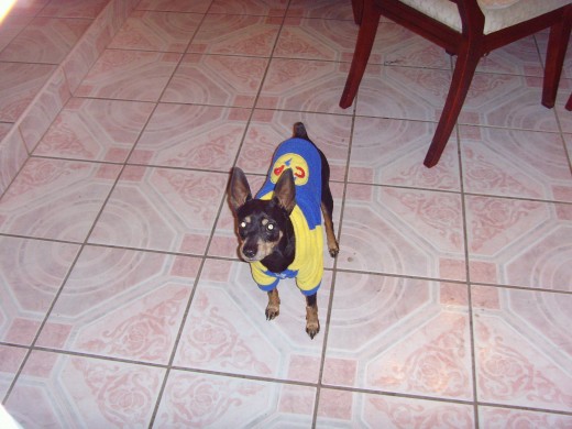 VESTIDO DE UN EQUIPO DE FUTBOL, POR FRIOLENTO JIJI