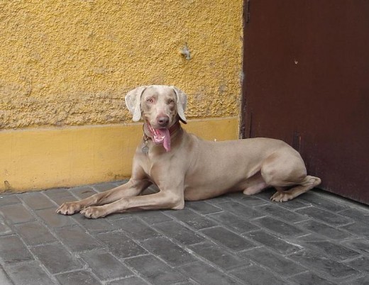 Yo Zahid, cuando tenia 1.5 años