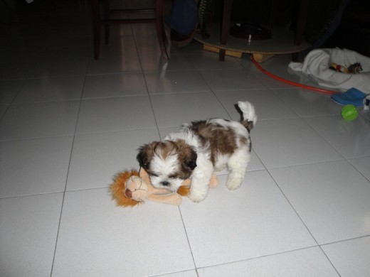 EL PRIMER DIA DE JEAN PAUL EN SU NUEVO HOGAR