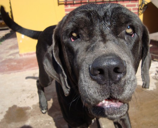 khiara despues de un baño