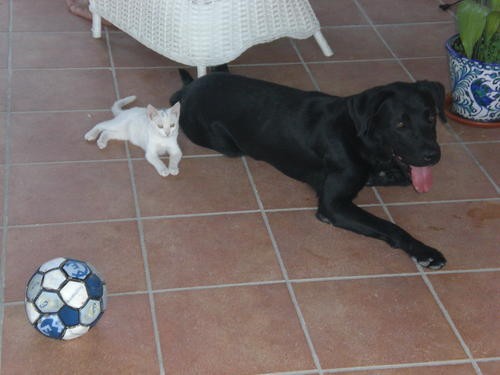 FANDI CON SU MEJOR AMIGA FANDI CON SU MEJOR AMIGA