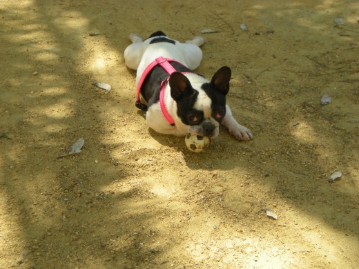 minnie en el parque