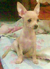 posando para la fotito