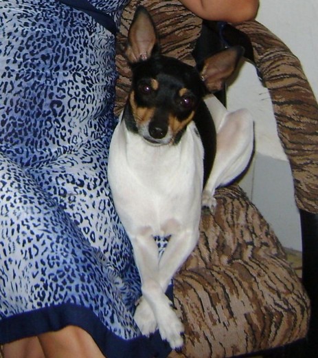 princesa posando princesa posando