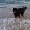 lothar en la playa