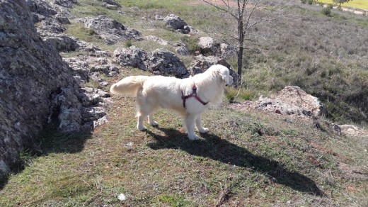 de paseo por la sierra