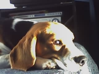 MATEO MAS HERMOSO IMPOSIBLE