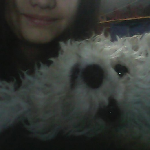 Ella es mi perrita sally, tengo artas fotos de ella pero son HD y en la pagina no se puede subir de esas fotos, le encanta jugar, sabe jugar a buscar y traer, es muy traviesa, si tiene algo en el ozico que sabe que esta mal que lo tenga se arranca como nunca para que no se lo quiten, y si se lo quitan se enoja y me gruñe, pero nunca se ha atrevido a morderme a mi, a su dueña Ella es mi perrita sally, tengo artas fotos de ella pero son HD y en la pagina no se puede subir de esas fotos, le encanta jugar, sabe jugar a buscar y traer, es muy traviesa, si tiene algo en el ozico que sabe que esta mal que lo tenga se arranca como nunca para que no se lo quiten, y si se lo quitan se enoja y me gruñe, pero nunca se ha atrevido a morderme a mi, a su dueña