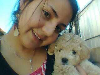 aqui mi doki tenia como 2 meses...es PRECIOSO!!
