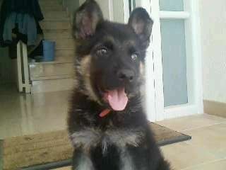 max con 3 meses casi max con 3 meses casi