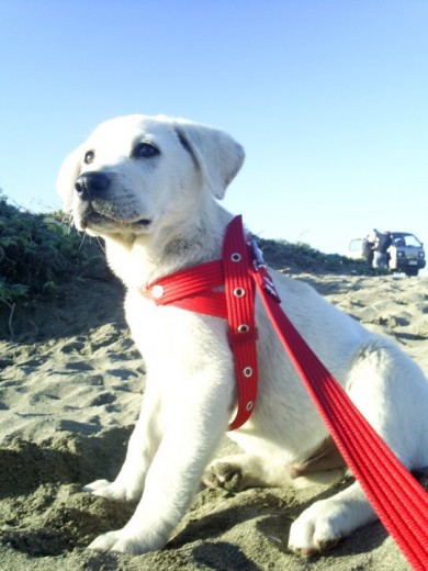 En la playa, ahi tiene 3 meses.