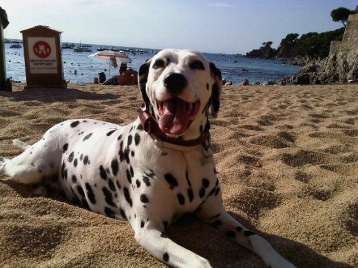 En la playa!