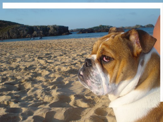 LOLA EN LA PLAYITA